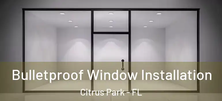  Bulletproof Window Installation Citrus Park - FL