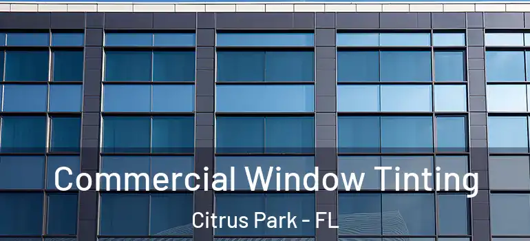  Commercial Window Tinting Citrus Park - FL