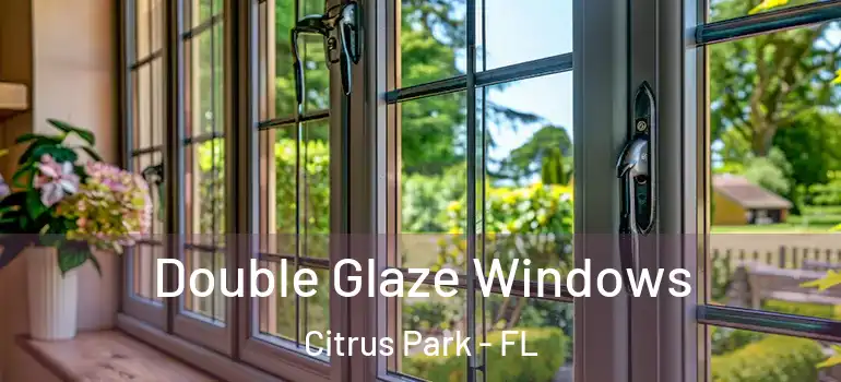  Double Glaze Windows Citrus Park - FL