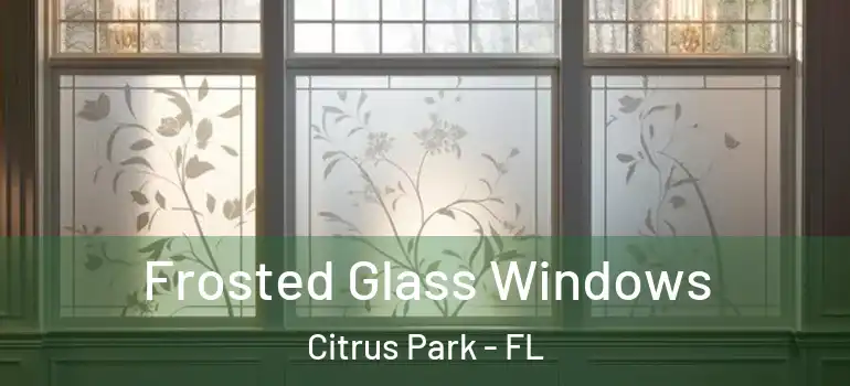 Frosted Glass Windows Citrus Park - FL