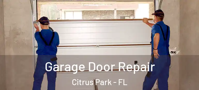  Garage Door Repair Citrus Park - FL