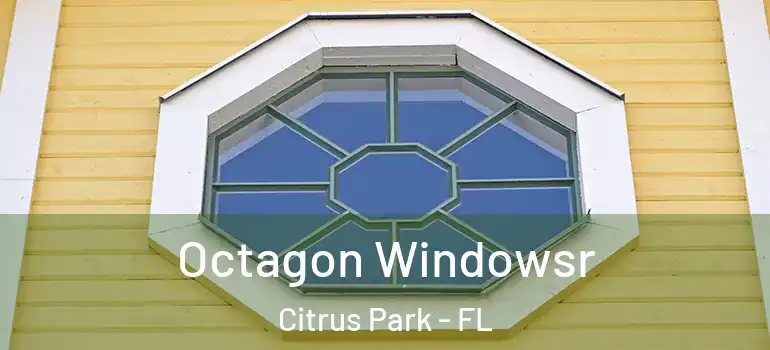  Octagon Windowsr Citrus Park - FL