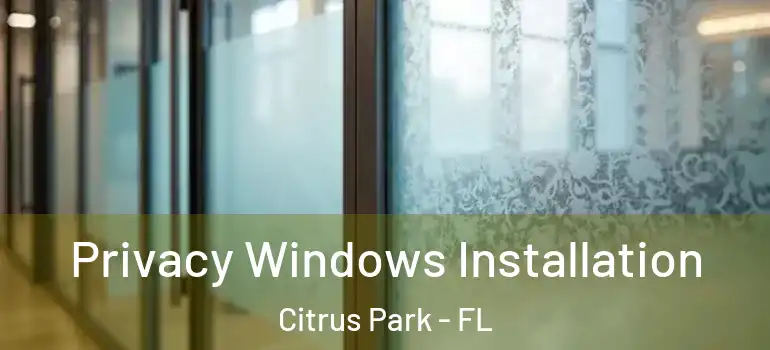  Privacy Windows Installation Citrus Park - FL