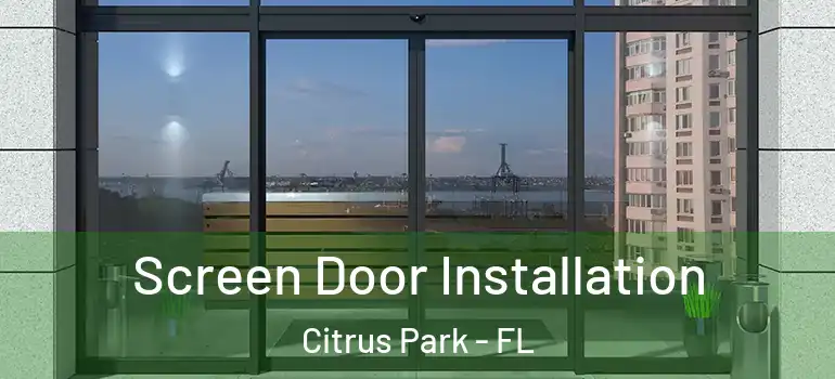  Screen Door Installation Citrus Park - FL