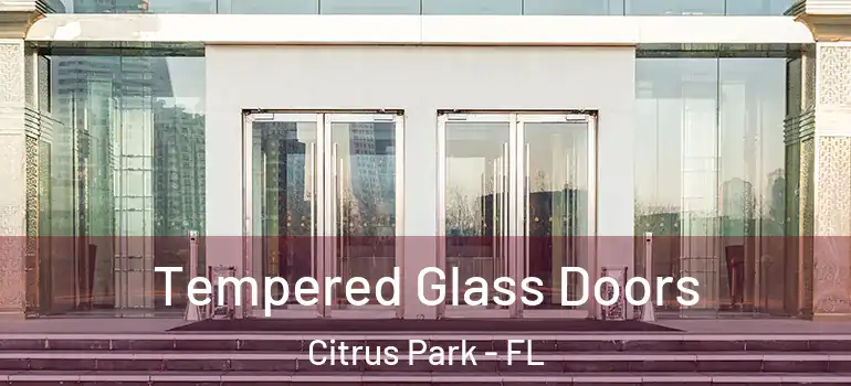  Tempered Glass Doors Citrus Park - FL