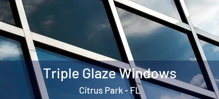  Triple Glaze Windows Citrus Park - FL