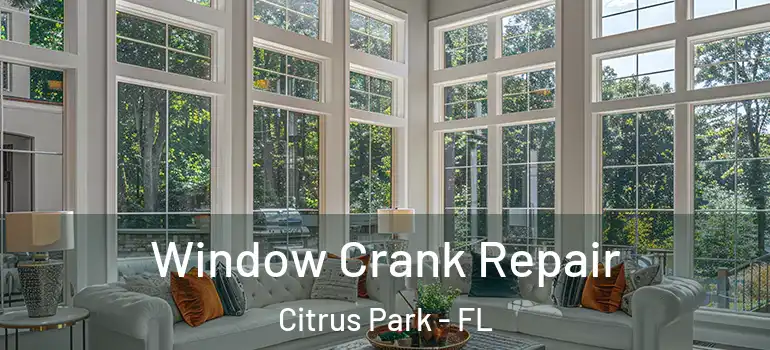  Window Crank Repair Citrus Park - FL