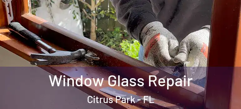  Window Glass Repair Citrus Park - FL