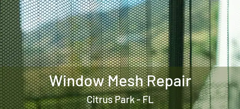  Window Mesh Repair Citrus Park - FL