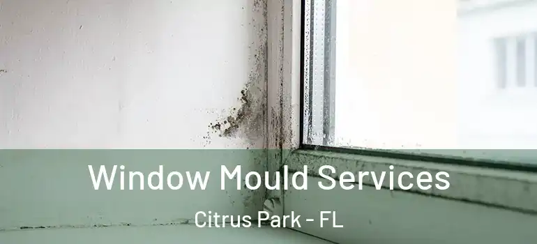  Window Mould Services Citrus Park - FL
