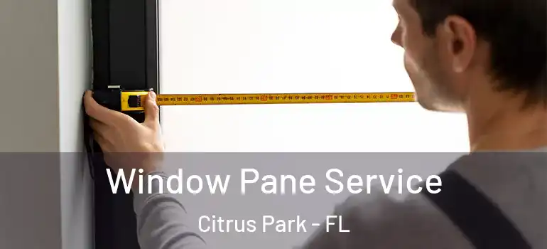  Window Pane Service Citrus Park - FL