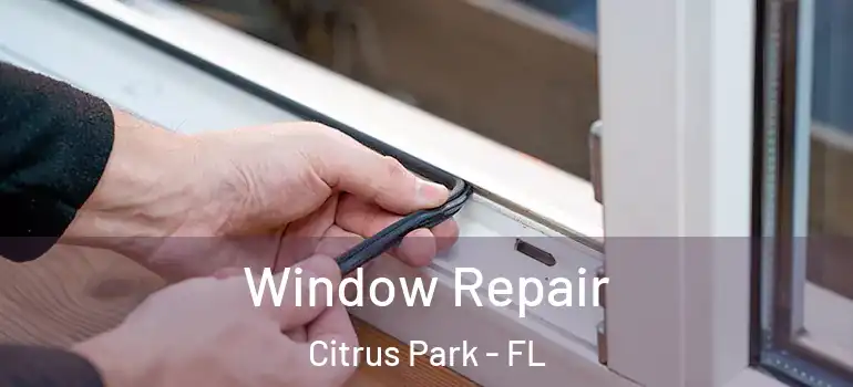  Window Repair Citrus Park - FL