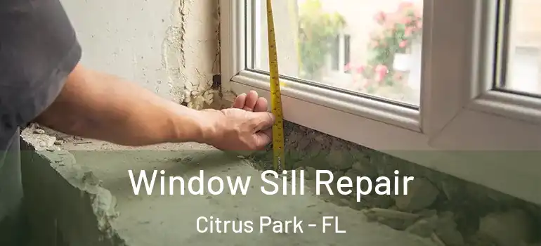  Window Sill Repair Citrus Park - FL